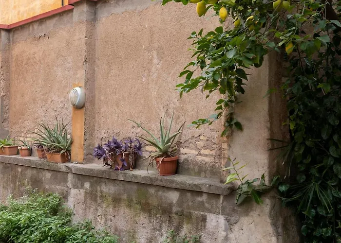 Appartement Parrasio House *